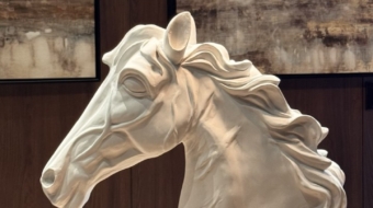 horse