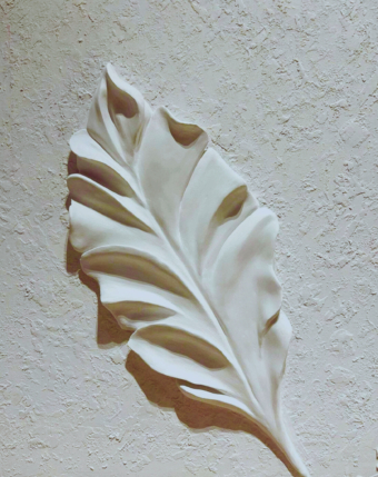 leaf2